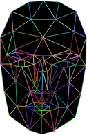 Prismatic Low Poly Wireframe Head