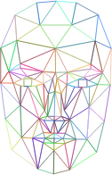 Prismatic Low Poly Wireframe Head No Background