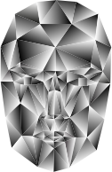 Prismatic Wireframe Head 3