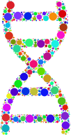 Prismatic DNA Helix Circles