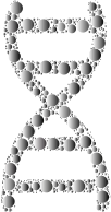 Prismatic DNA Helix Circles 3