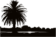 Palm Sunset Silhouette