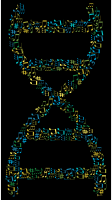 Musical DNA