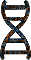 DNA Helix Fractal