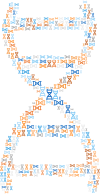 DNA Helix Fractal No Background