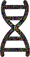 Chromatic DNA Helix Fractal
