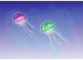 medusas (Two Jellyfishes)