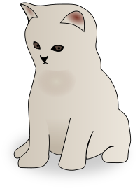 Kitten