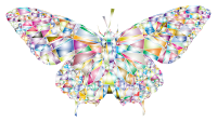 Low Poly Butterfly Prismatic 2
