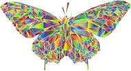 Low Poly Butterfly Prismatic 4