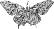 Low Poly Butterfly Prismatic 6