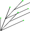 funkyplant