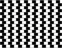 Visual illusion 2