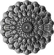 Prismatic Floral Mandala IV 4