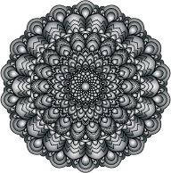 Prismatic Floral Mandala IV 5