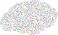 Prismatic Binary Brain