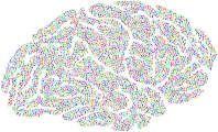 Prismatic Synaptic Brain
