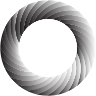 Swirly Torus 2