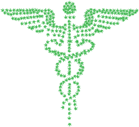 Medical Marijuana II Green