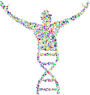 Biological Man Circles Prismatic
