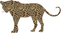 Textured Leopard