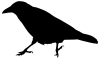 Raven Silhouette 3