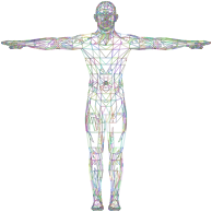 Detailed Low Poly Man Wireframe Prismatic