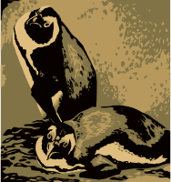 Penguins
