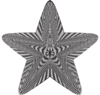 Prismatic Geometric Star 3