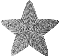 Prismatic Geometric Star 4