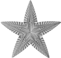 Prismatic Geometric Star 5