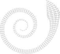 Coiled Snake
