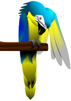 Blue and Yellow Macaw Parrot