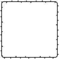 Thorns Frame