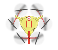 "Fish-King" drone / UAV - top view