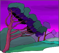 Tree 6