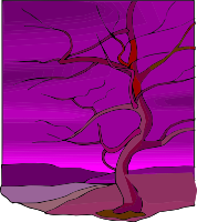 Tree 8