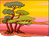 Tree 13