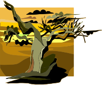 Tree 16