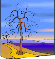 Tree 17