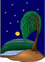 Tree 19