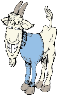goat in a sweater