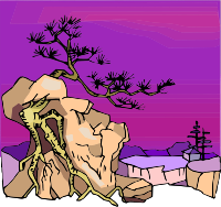 Tree 22