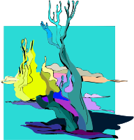 Tree 41