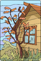 Tree 43