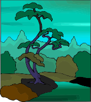 Tree 47