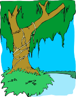 Tree 53