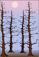 Tree 62