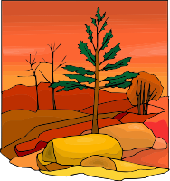 Tree 63