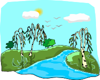 Tree 70